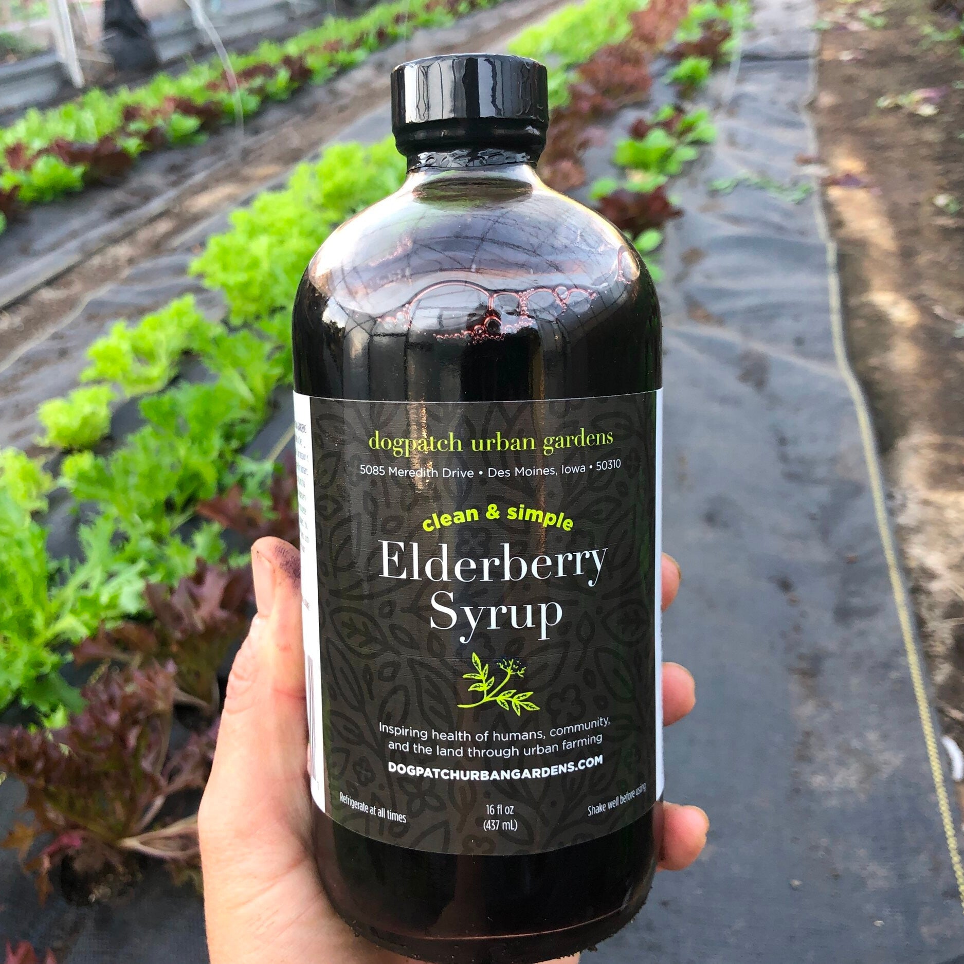 Elderberry Syrup Dogpatch Urban Gardens