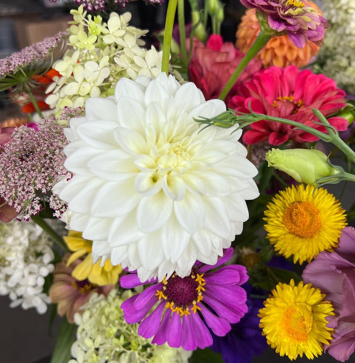 Flower Bouquet CSA