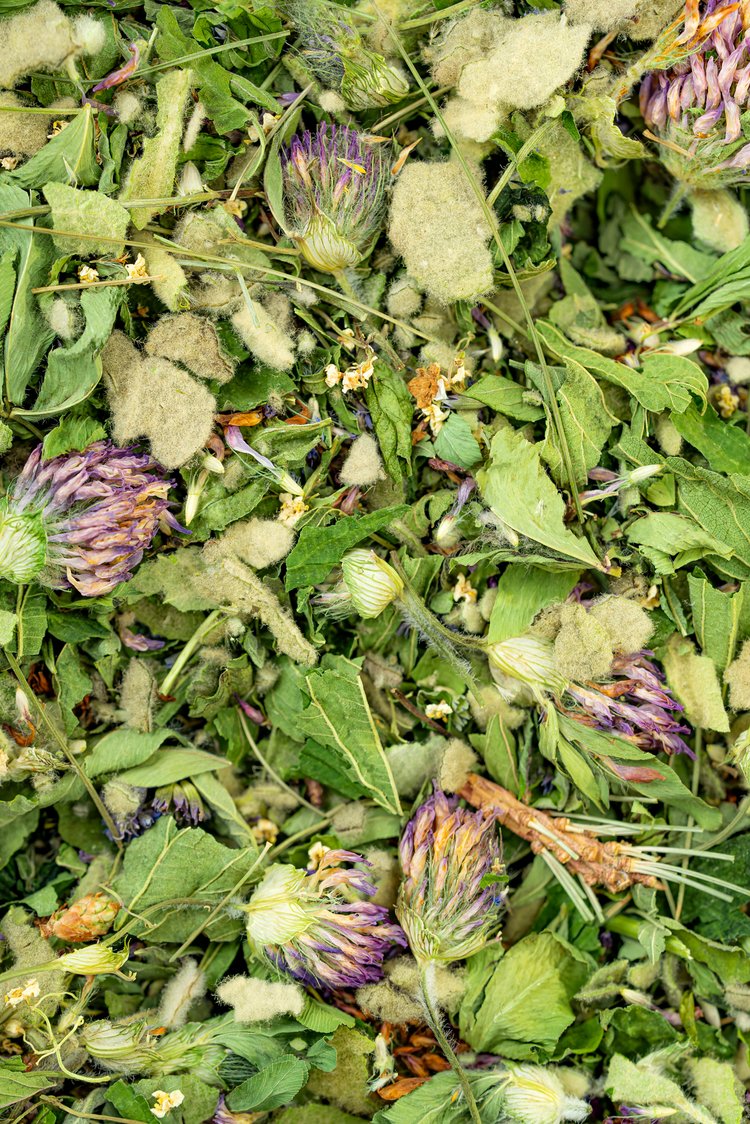 Herbal Tea - Breathe