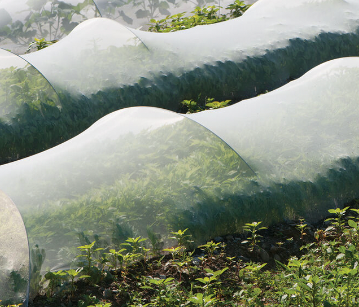 ProtekNet Insect Netting