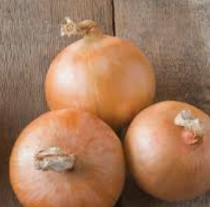 Yellow Onions (MN organic) - 1 lb bag